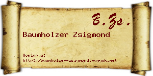 Baumholzer Zsigmond névjegykártya