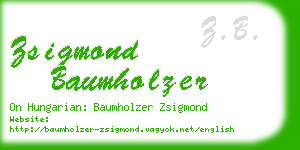 zsigmond baumholzer business card